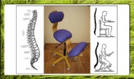 SILLA ERGONÓMICA ERGO