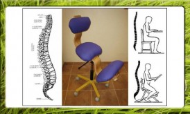 SILLA ERGONÓMICA ERGO