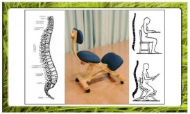 SILLA ERGONÓMICA ÁNIMA