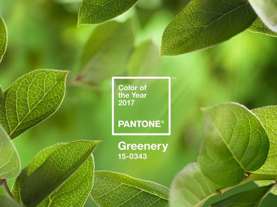 PANTONE-Color-of-the-Year-2017-Greenery-